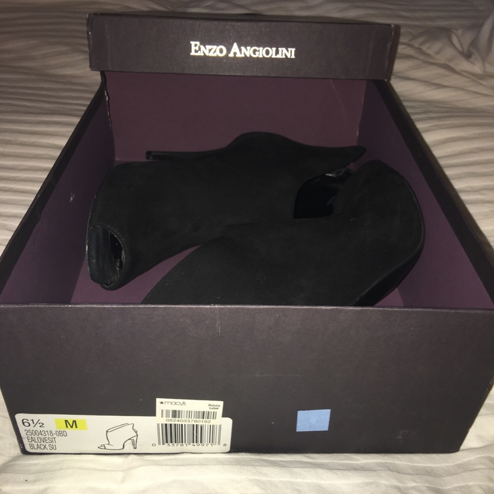 Enzo Angiolini - Picture 6 of 6